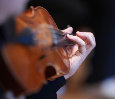 Tuulia Hero, violin