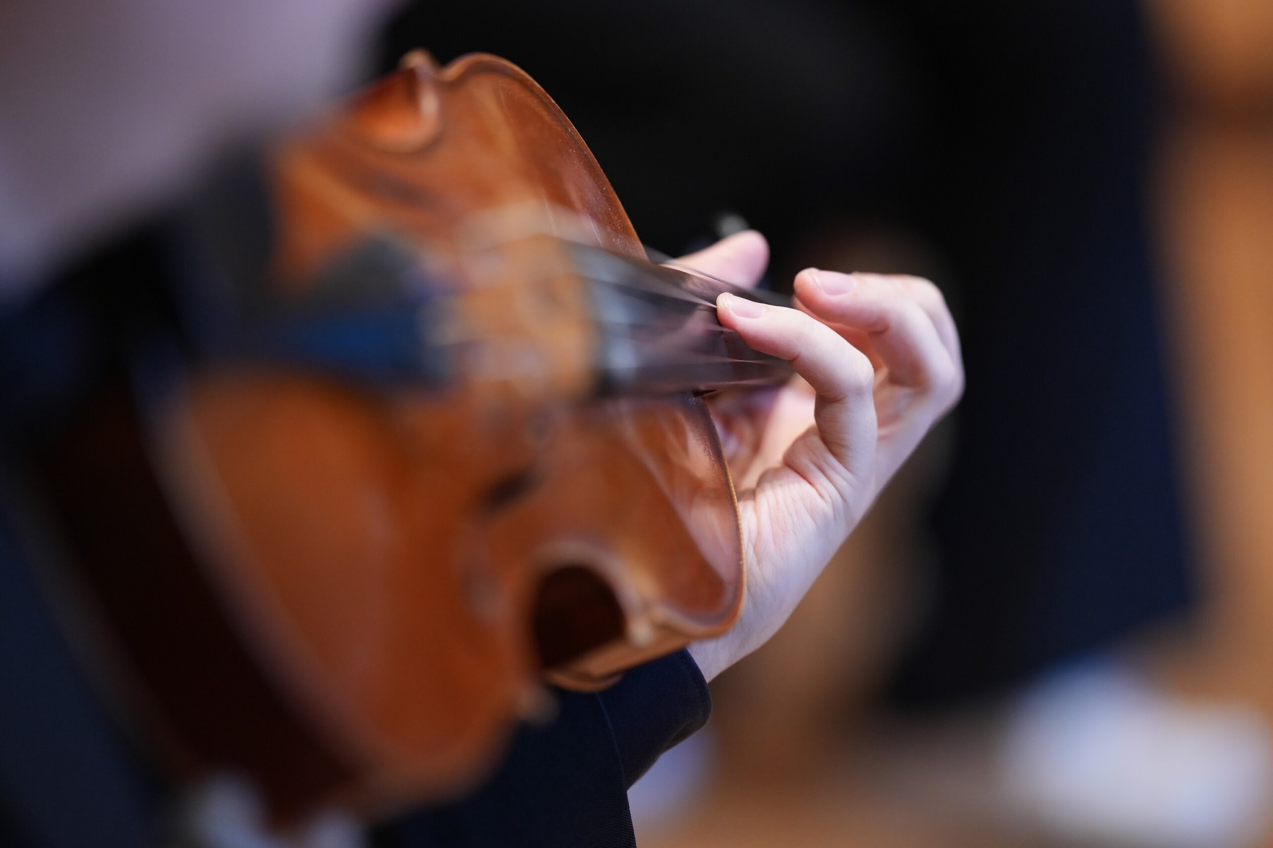 Tuulia Hero, violin